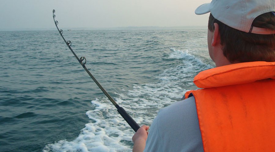 Fishing - Gallery Image 6