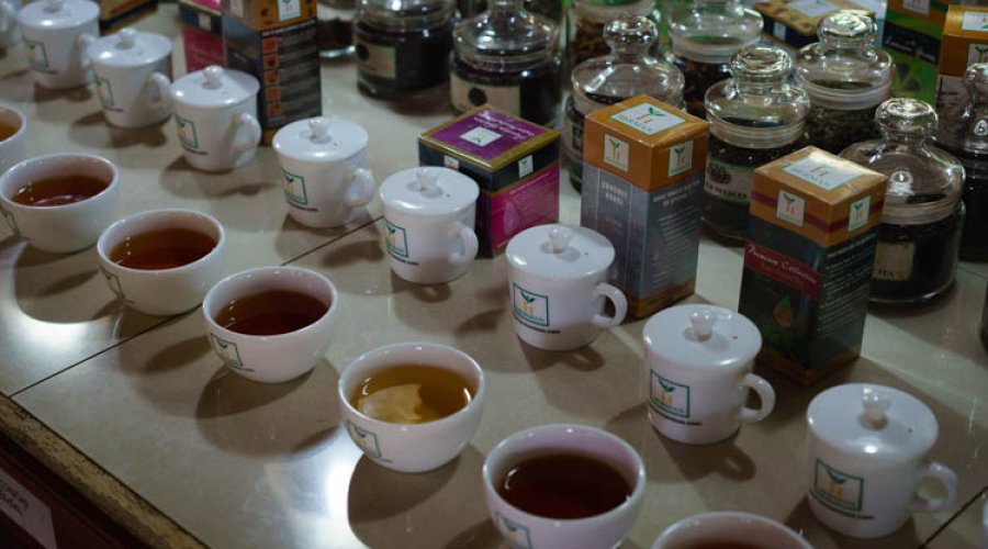 Handunugoda Tea Factory - Gallery Image 3