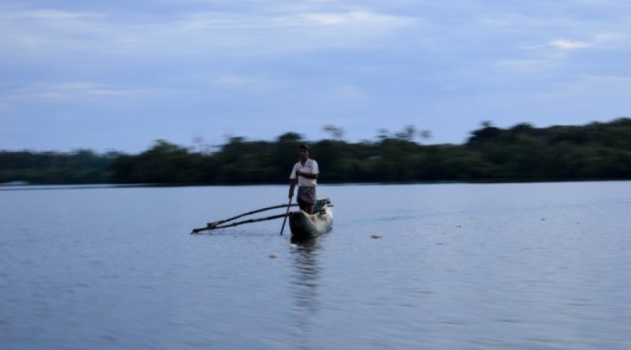 Koggala Lake Safari - Gallery Image 2