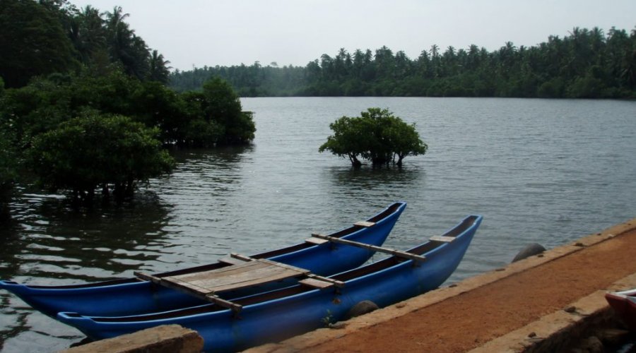 Koggala Lake Safari - Gallery Image 3