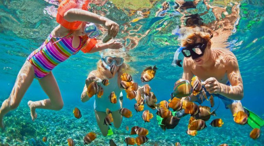 Snorkeling - Gallery Image 4