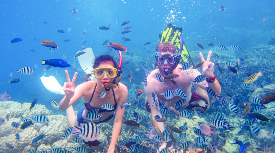 Snorkeling - Gallery Image 5