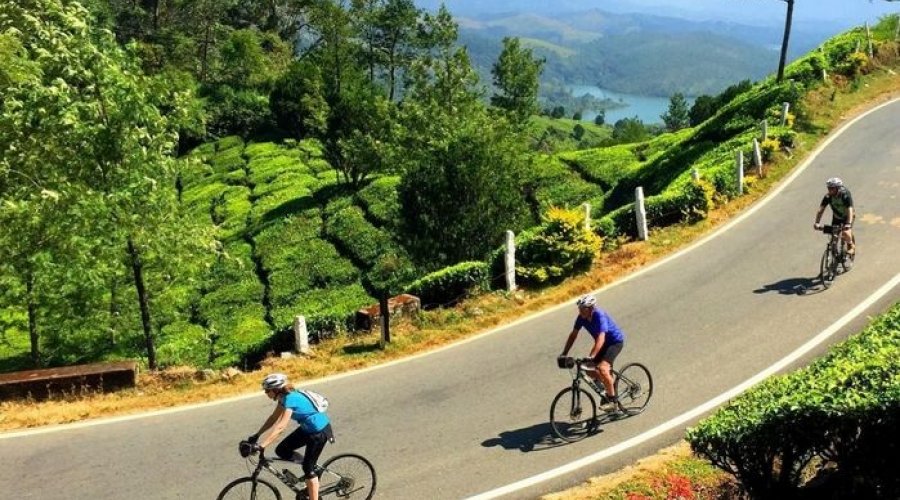 Cycling - Gallery Image 2