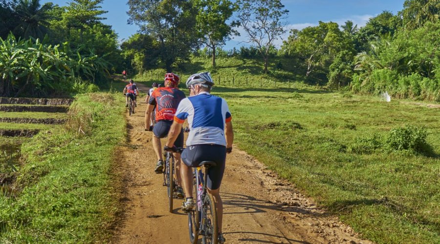 Cycling - Gallery Image 5