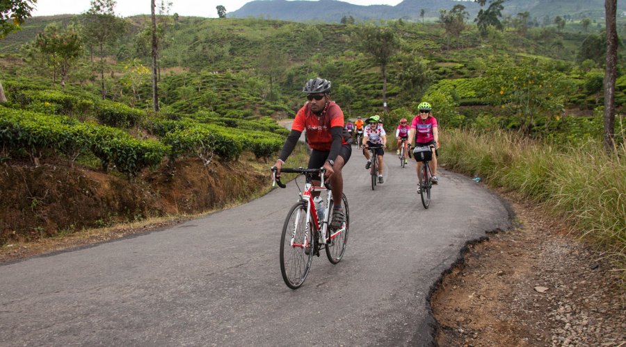 Cycling - Gallery Image 6