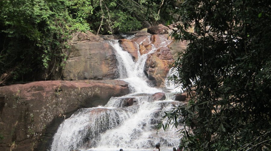 Kanneliya Rain Forest