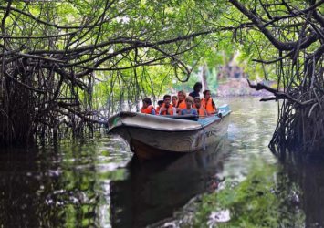 River Safari - Gallery Image 4