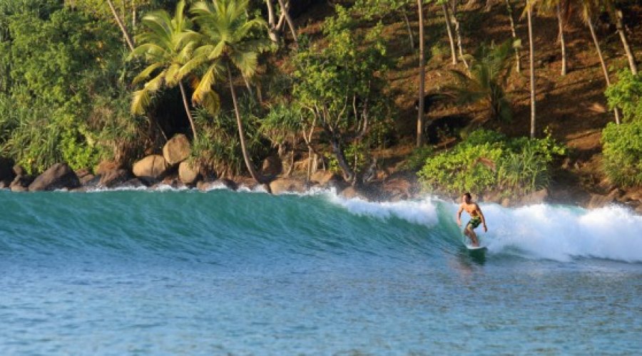 Surfing - Gallery Image 6