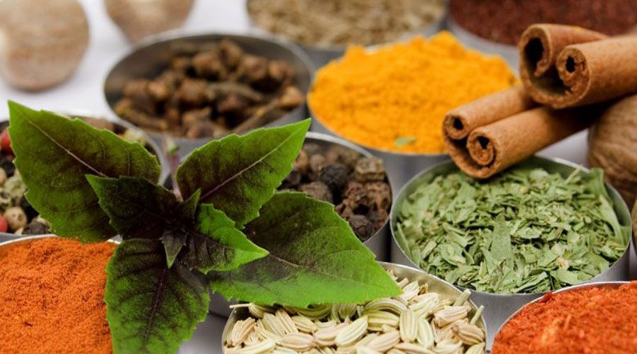 Herbal and spice garden - Gallery Image 3