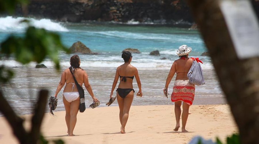 Jungle Beach - Gallery Image 2