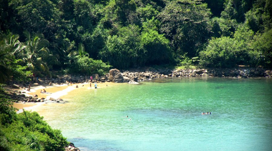 Jungle Beach - Gallery Image 3