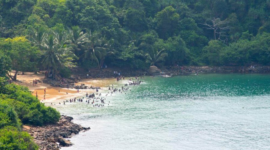 Jungle Beach - Gallery Image 4
