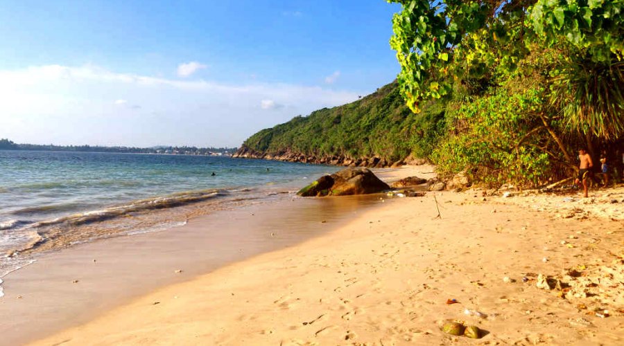 Jungle Beach - Gallery Image 5
