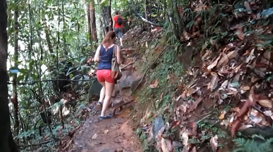 Sinharaja Rain Forest - Gallery Image 5