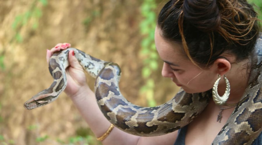 Snake farm