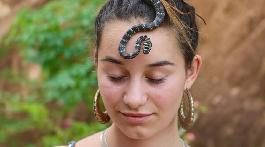 Snake farm - Gallery Image 4