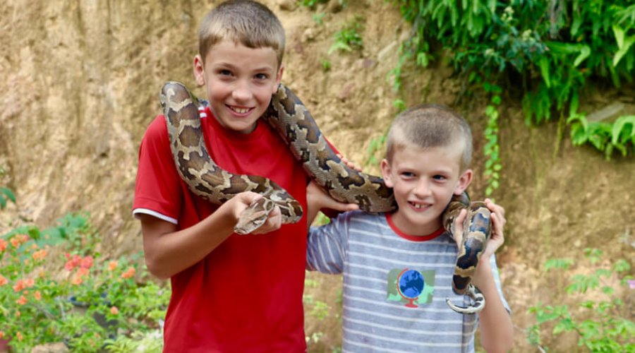 Snake farm - Gallery Image 5