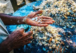 Galle - Tour 1 - Gallery Image 4