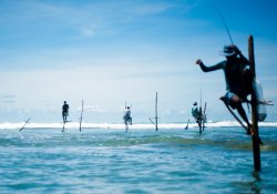 Galle - Tour 2 - Gallery Image 3