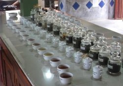 Galle - Tour 2 - Gallery Image 4