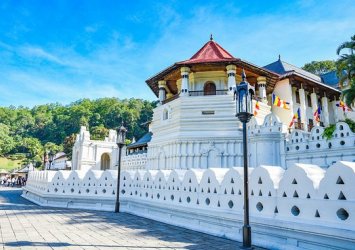 Kandy - One Day Tour