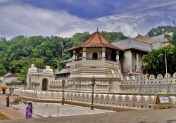 Kandy - One Day Tour - Gallery Image 3