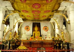 Kandy - One Day Tour - Gallery Image 4