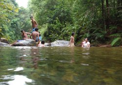 Kanneliya Rain Forest Tour - Gallery Image 2