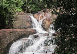 Kanneliya Rain Forest Tour - Gallery Image 3