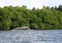 Koggala Lake Boat Safari Day Tour - Gallery Image 3