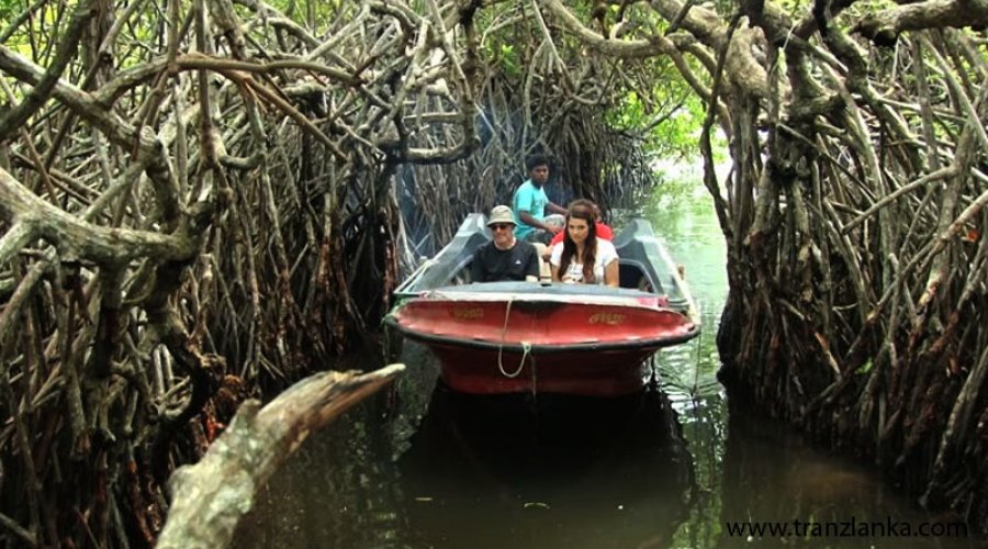 Madu Ganga Safari & Mask Museum Day Tour - Gallery Image 2