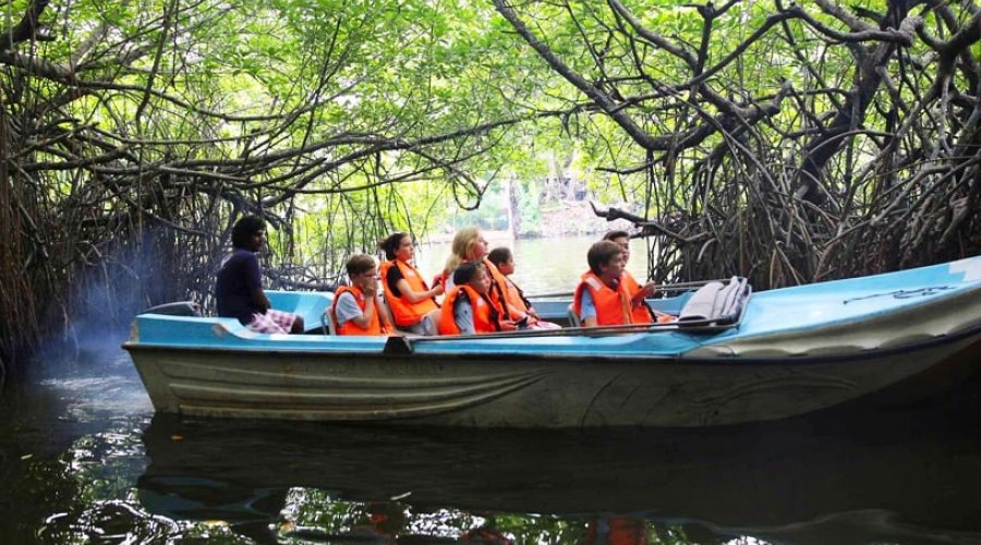 Madu Ganga Safari & Mask Museum Day Tour - Gallery Image 3