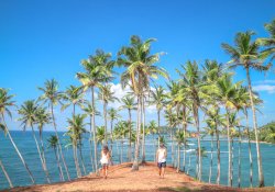 Mirissa Whale Watching Day Tour - Gallery Image 4