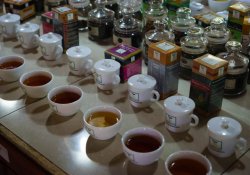 Handunugoda Tea Factory Day Tour - Gallery Image 3